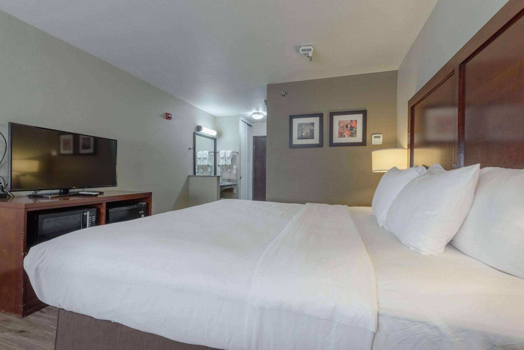 Comfort Inn & Suites Аламоса Экстерьер фото